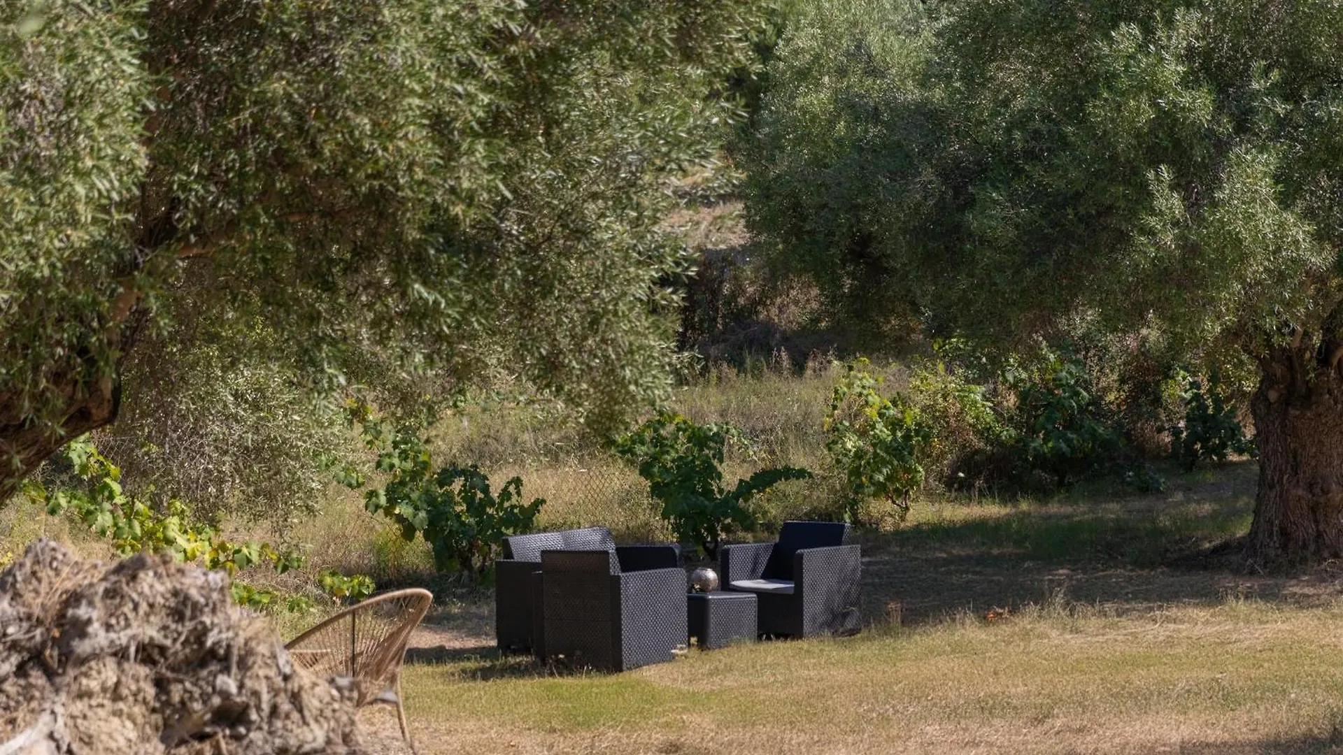 Hotel Valery Apartments Pefkochori